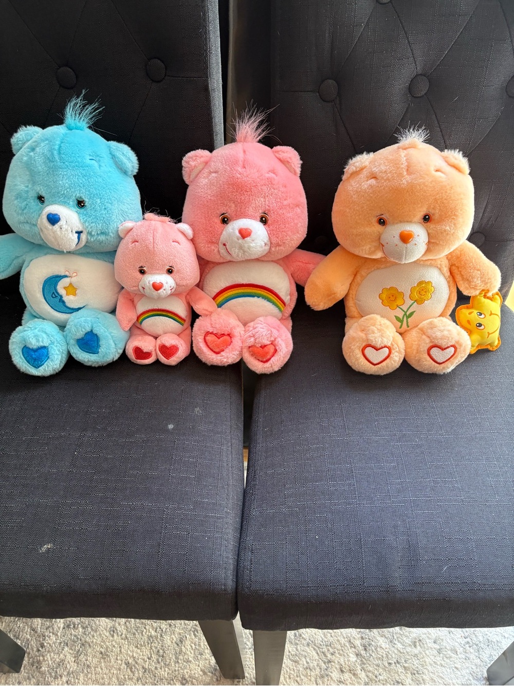 Play Along Care Bear bundle.